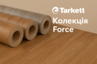 Force