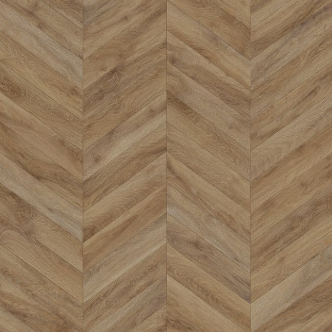 Линолеум Tarkett Evolution Live Chevron 5