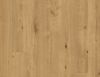 Ламінат Xpert Pro Ultimate Hydro Boston Oak / Бостонський дуб 00517