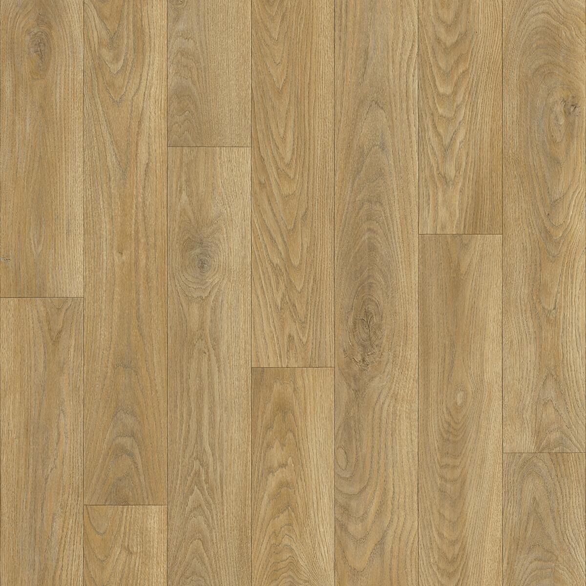 Линолеум Beauflor Plaza  CHAPMAN OAK 639M